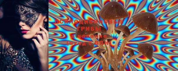 PSILOCYBIN Белоозёрский