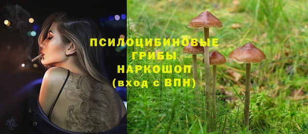 PSILOCYBIN Белоозёрский